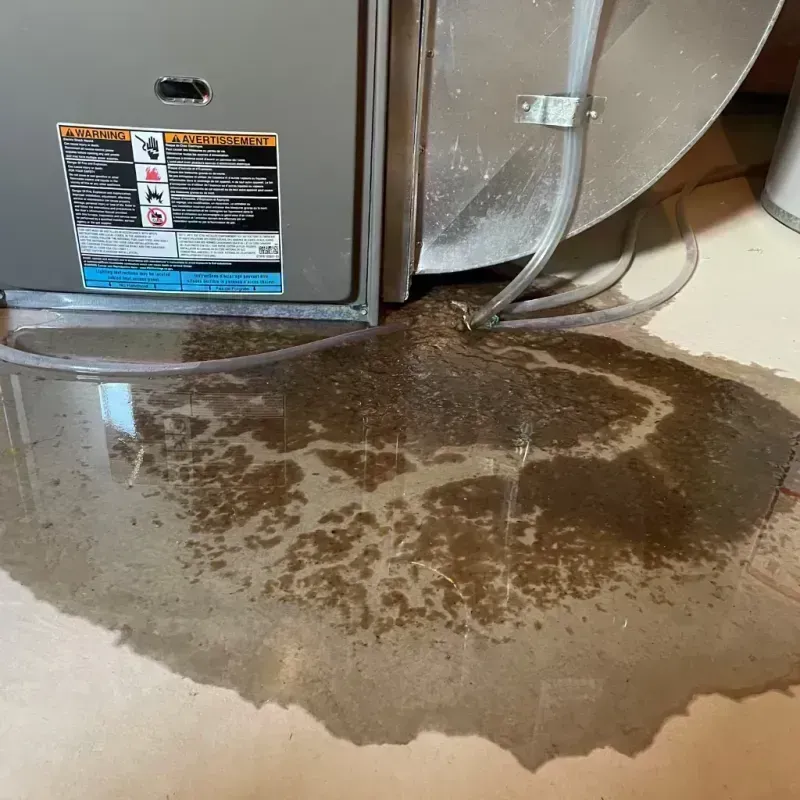 Appliance Leak Cleanup in Iosco County, MI